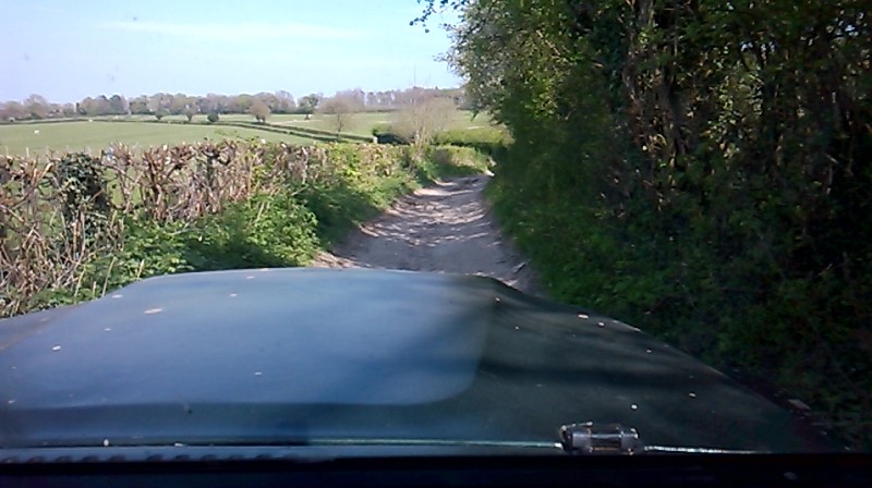WP_20150420_008.jpg