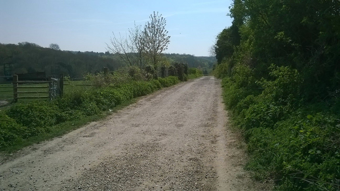 WP_20150420_017.jpg