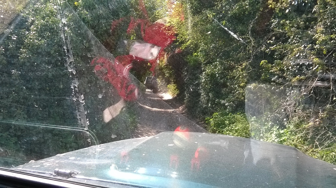 WP_20150420_021.jpg