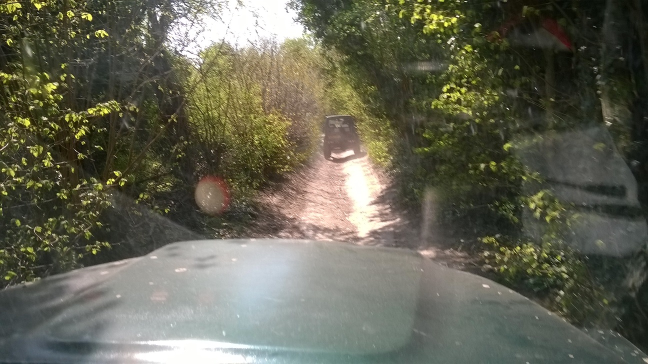 WP_20150420_023.jpg