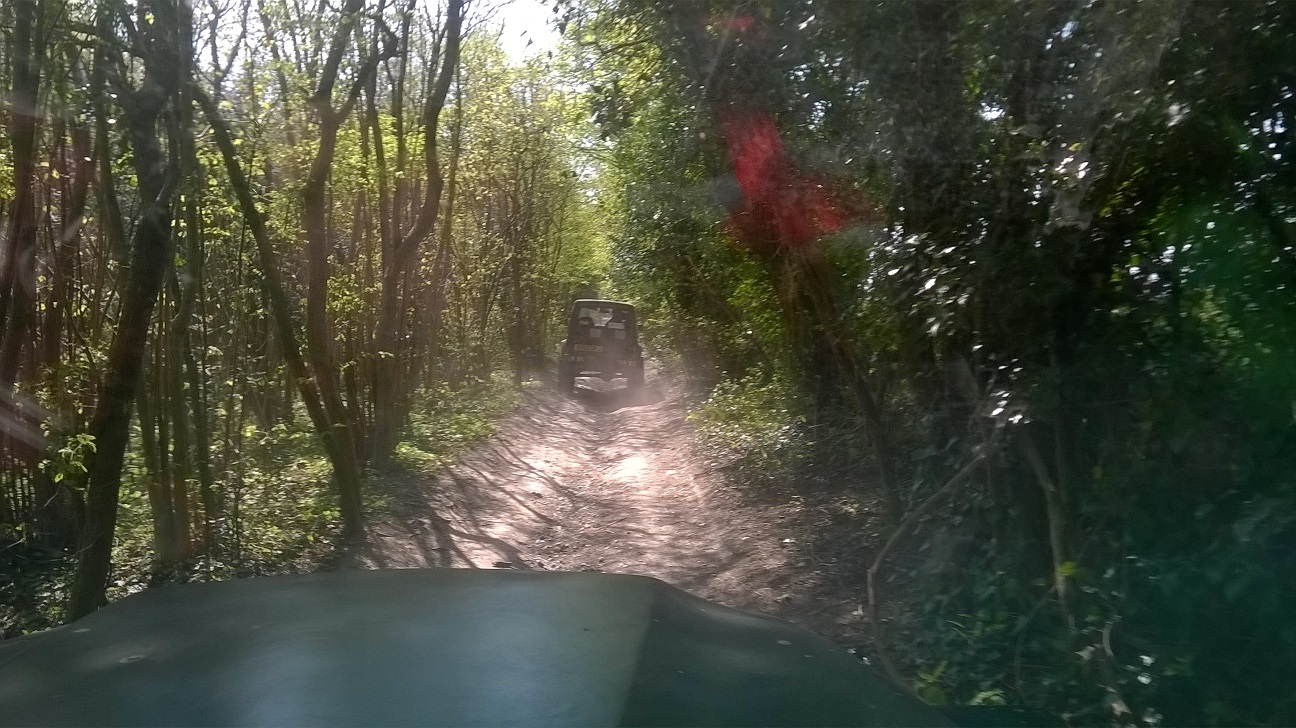 WP_20150420_025.jpg