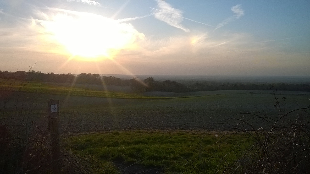 WP_20150420_044.jpg