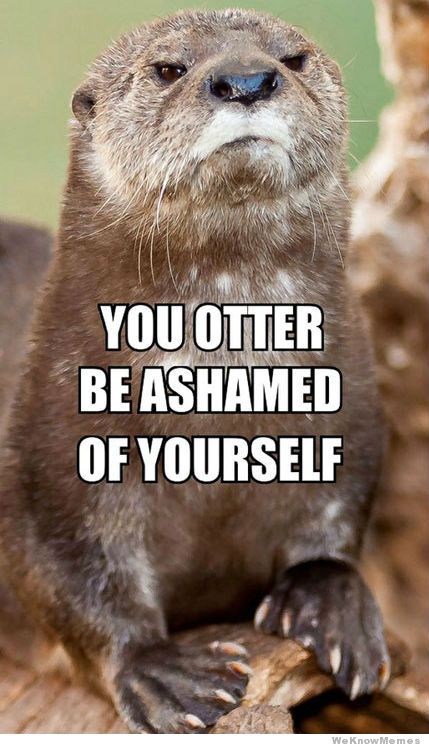 you-otter-be-ashamed-of-yourself.jpg
