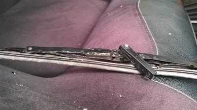 WP_20180513_003.jpg