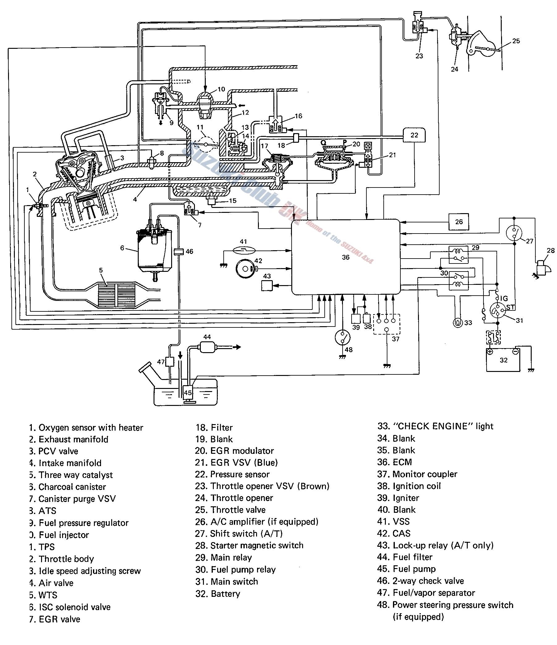 vit inj layout.jpg